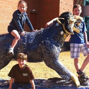 Meet your Posher, Dana